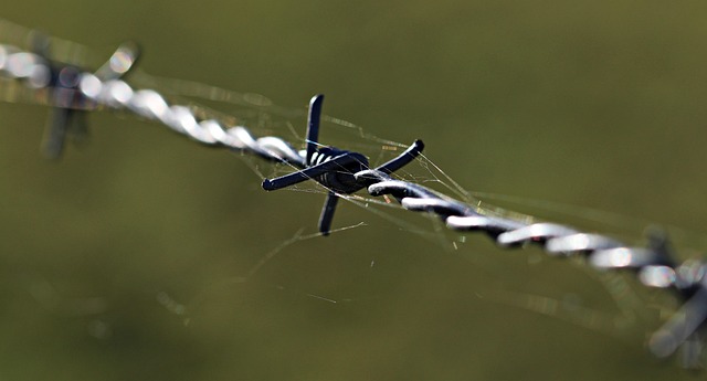 wire rope