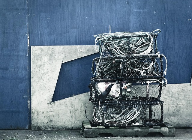 wire rope