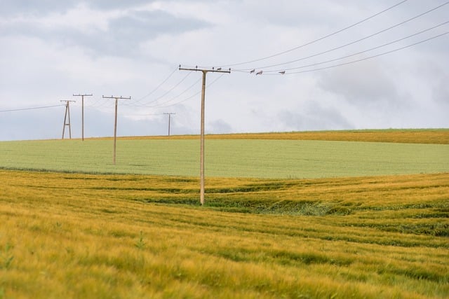 wire rope