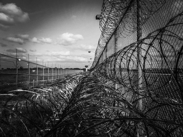 wire rope