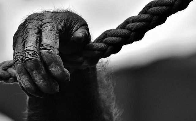 rope