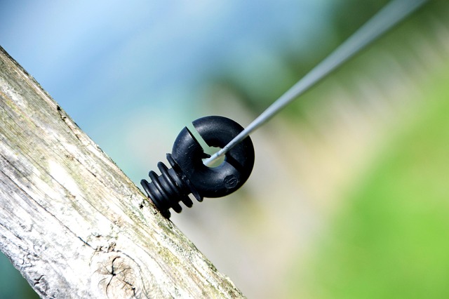 wire rope