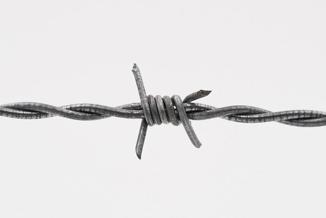 wire-rope