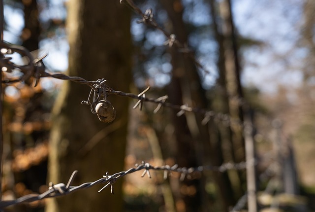 wire rope