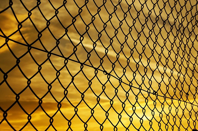 wire-rope
