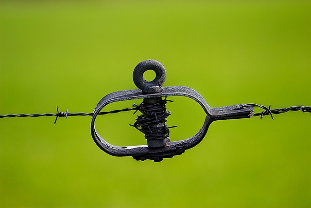 wire-rope