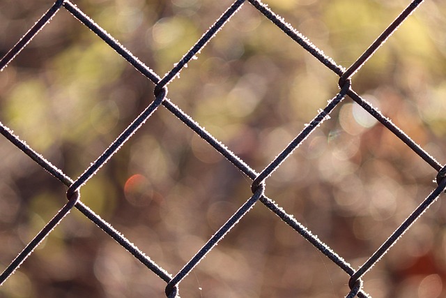 wire rope