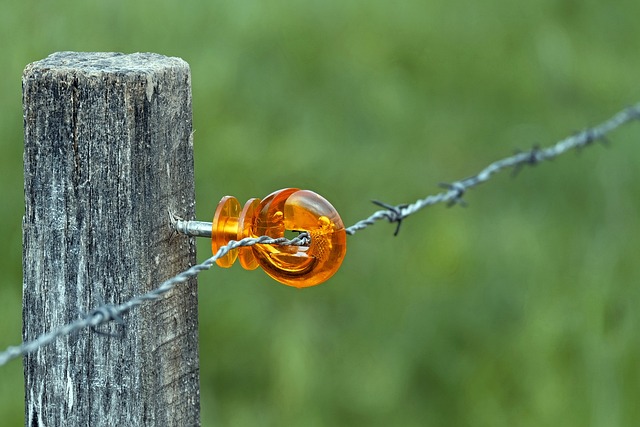 wire rope