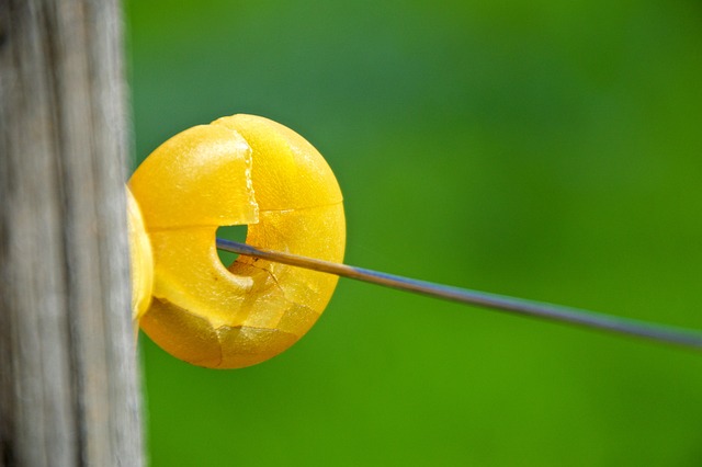 wire rope