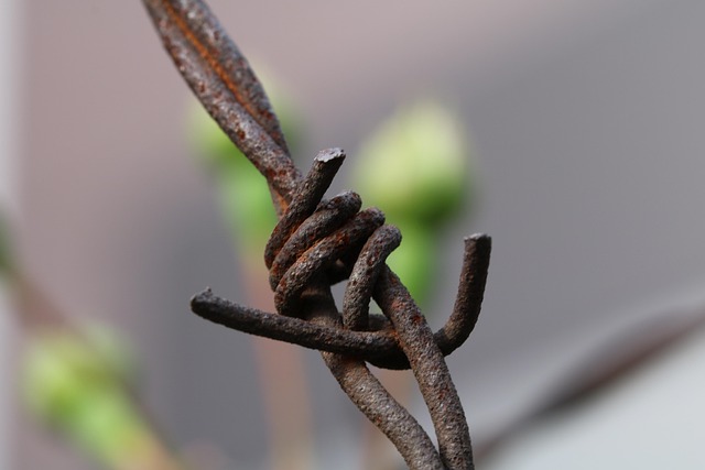 wire rope
