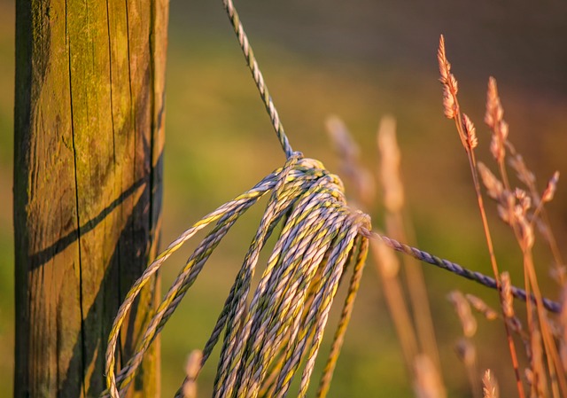 wire rope
