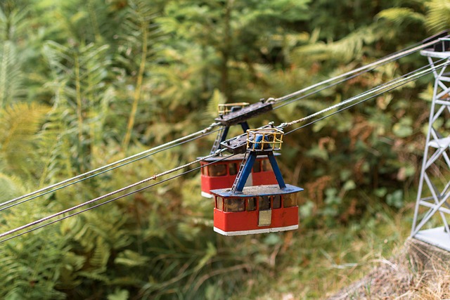 wire-rope