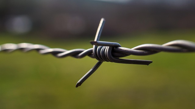 stainless steel wire rope