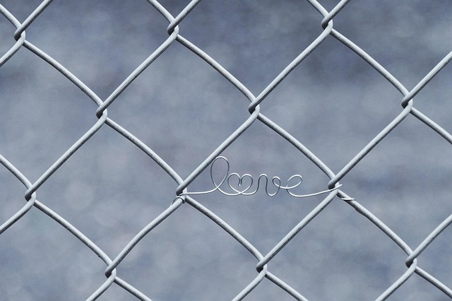 wire-rope