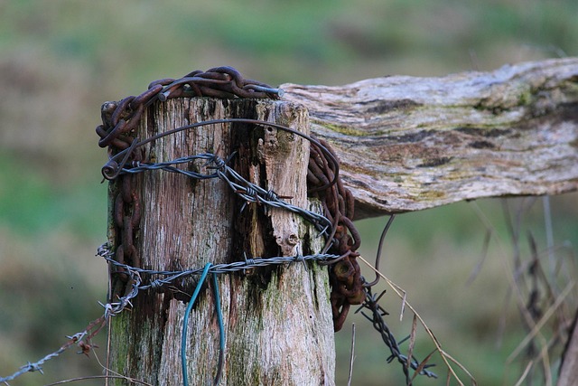 wire rope