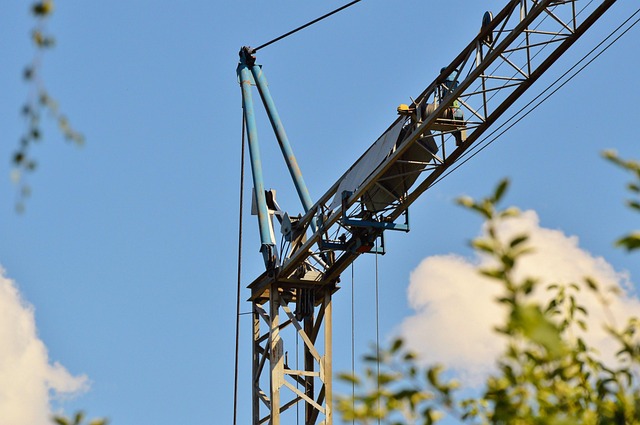 crane