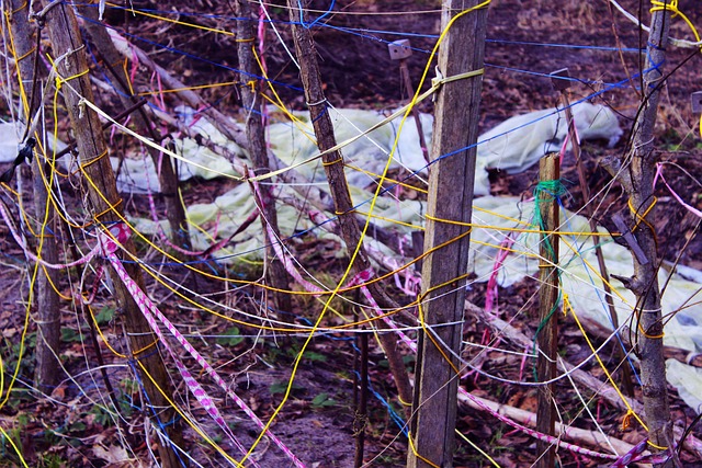 wire-rope