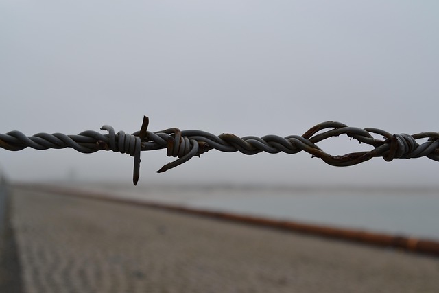 wire rope