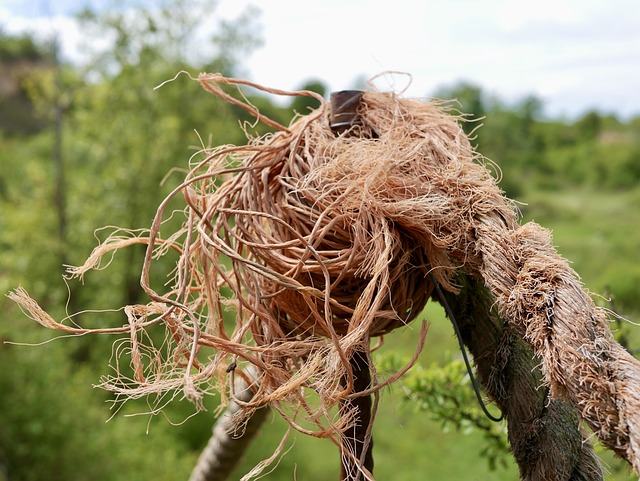 rope