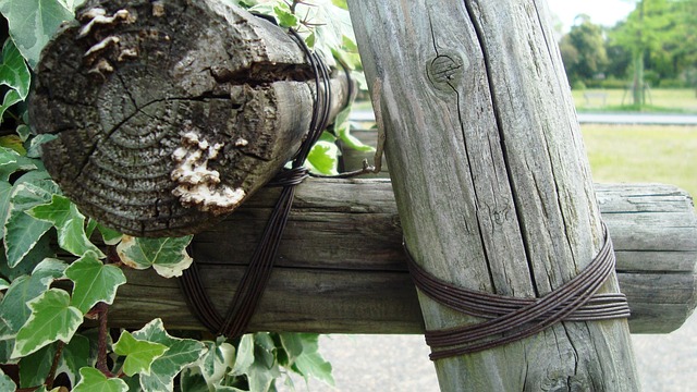 wire rope