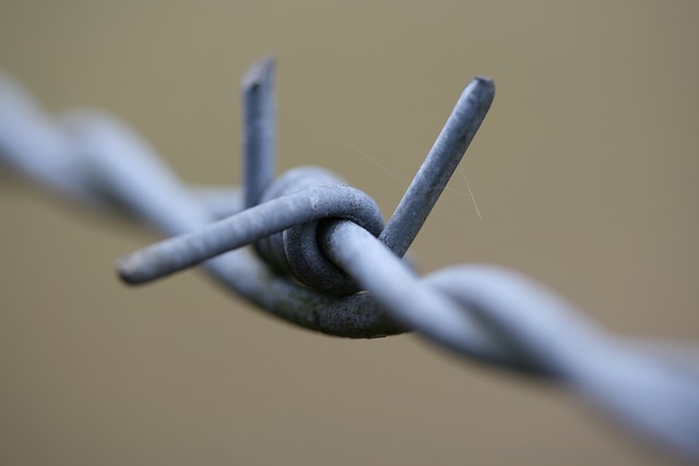 wire rope